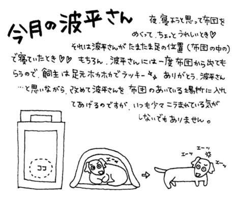 2014年3月の波平さん：波平さんとドッグフード