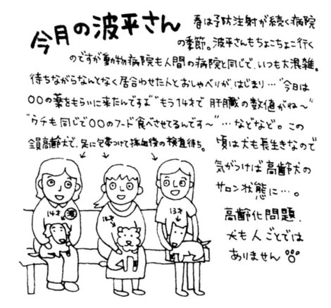 2014年6月の波平さん：波平さんとたいやき