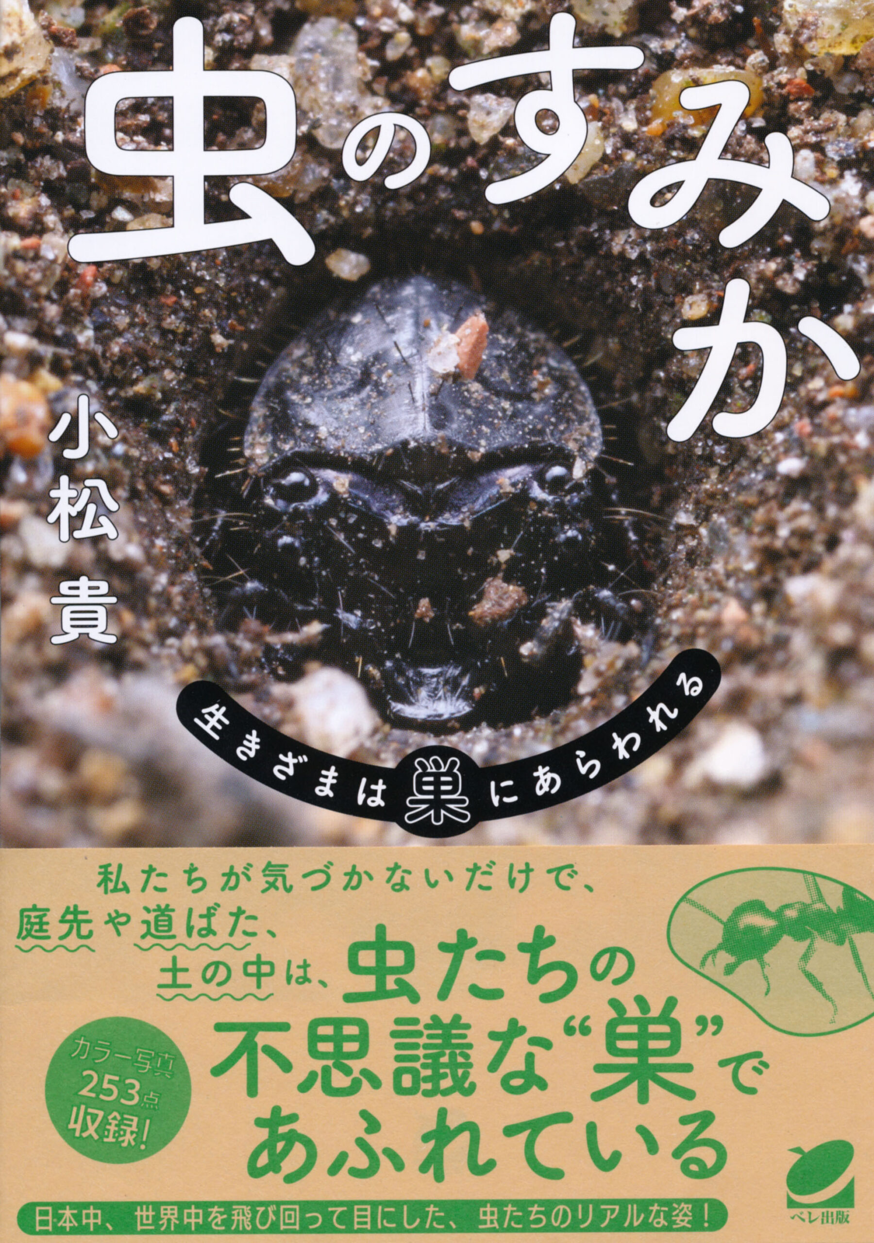 虫のすみか―生きざまは巣にあらわれる - いつも、学ぶ人の近くに【ベレ