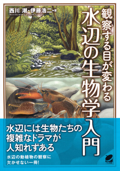 観察する目が変わる　水辺の生物学入門