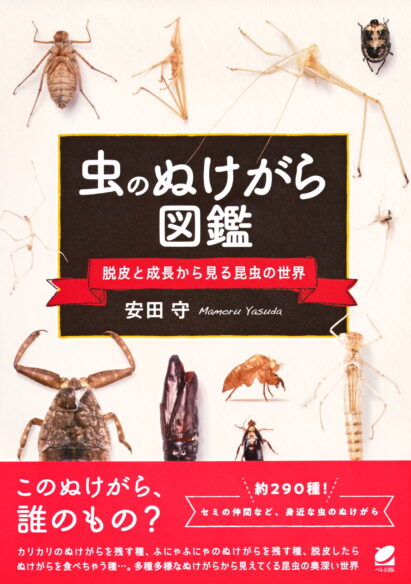 虫のぬけがら図鑑 ―脱皮と成長から見る昆虫の世界