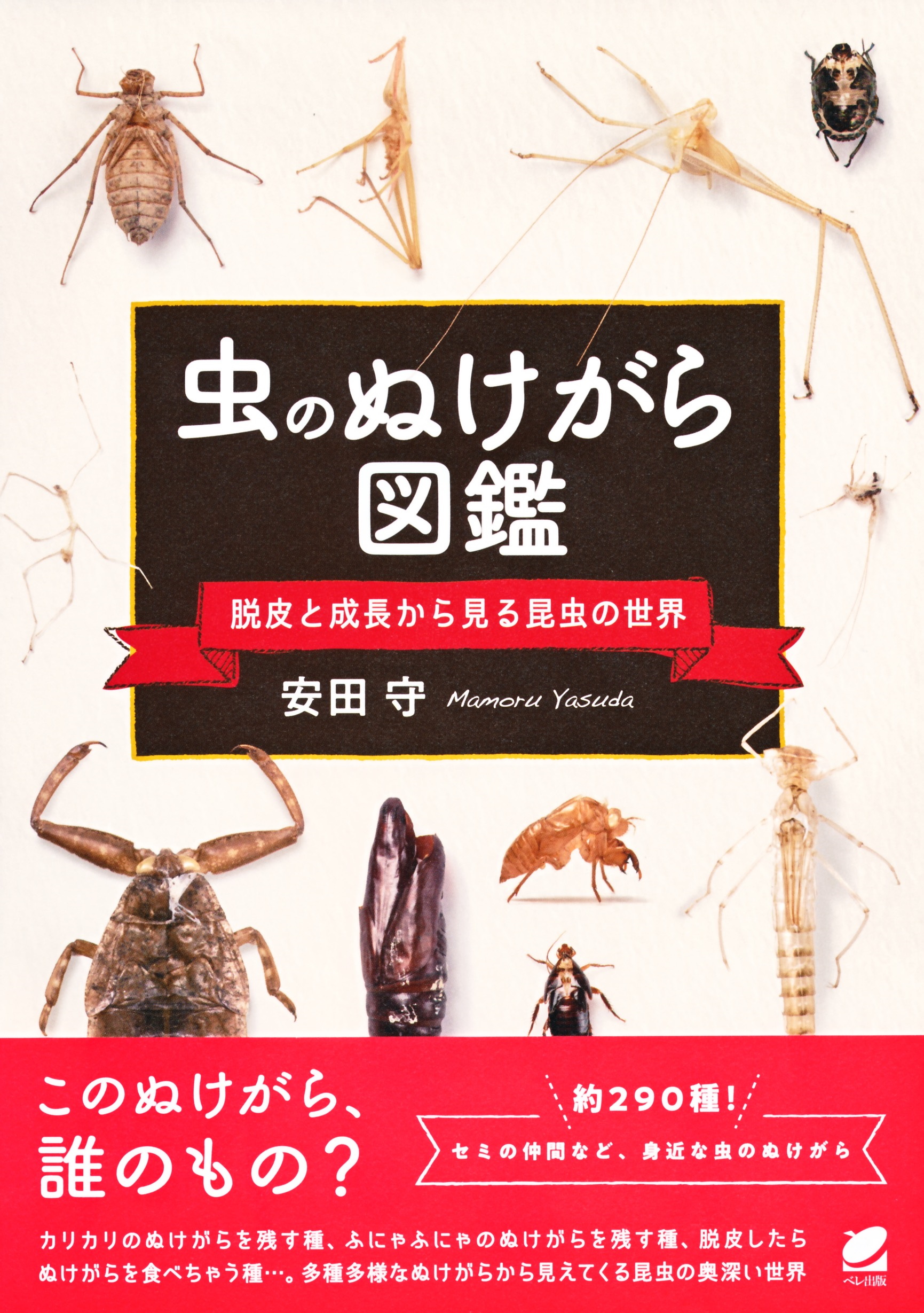 脱皮と変態の生物学 昆虫と甲殻類のホルモン作用の謎を追う 脱皮と変態の生物学 / 園部 治之/長澤 寛道【編著】 - 紀伊國屋