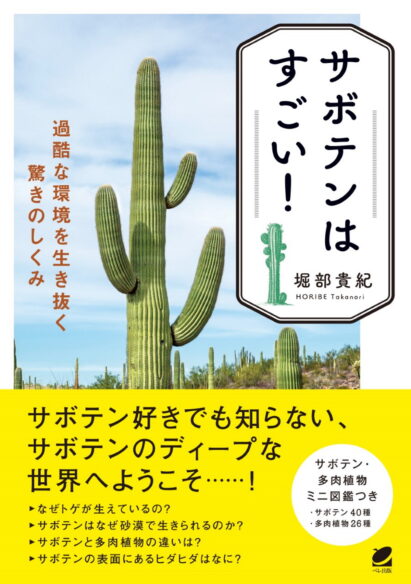 サボテンはすごい！ 過酷な環境を生き抜く驚きのしくみ