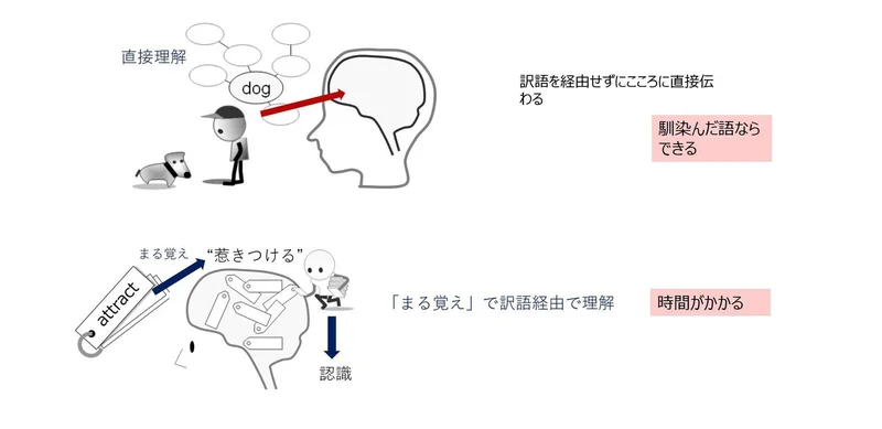 英単語理解のイメージ図