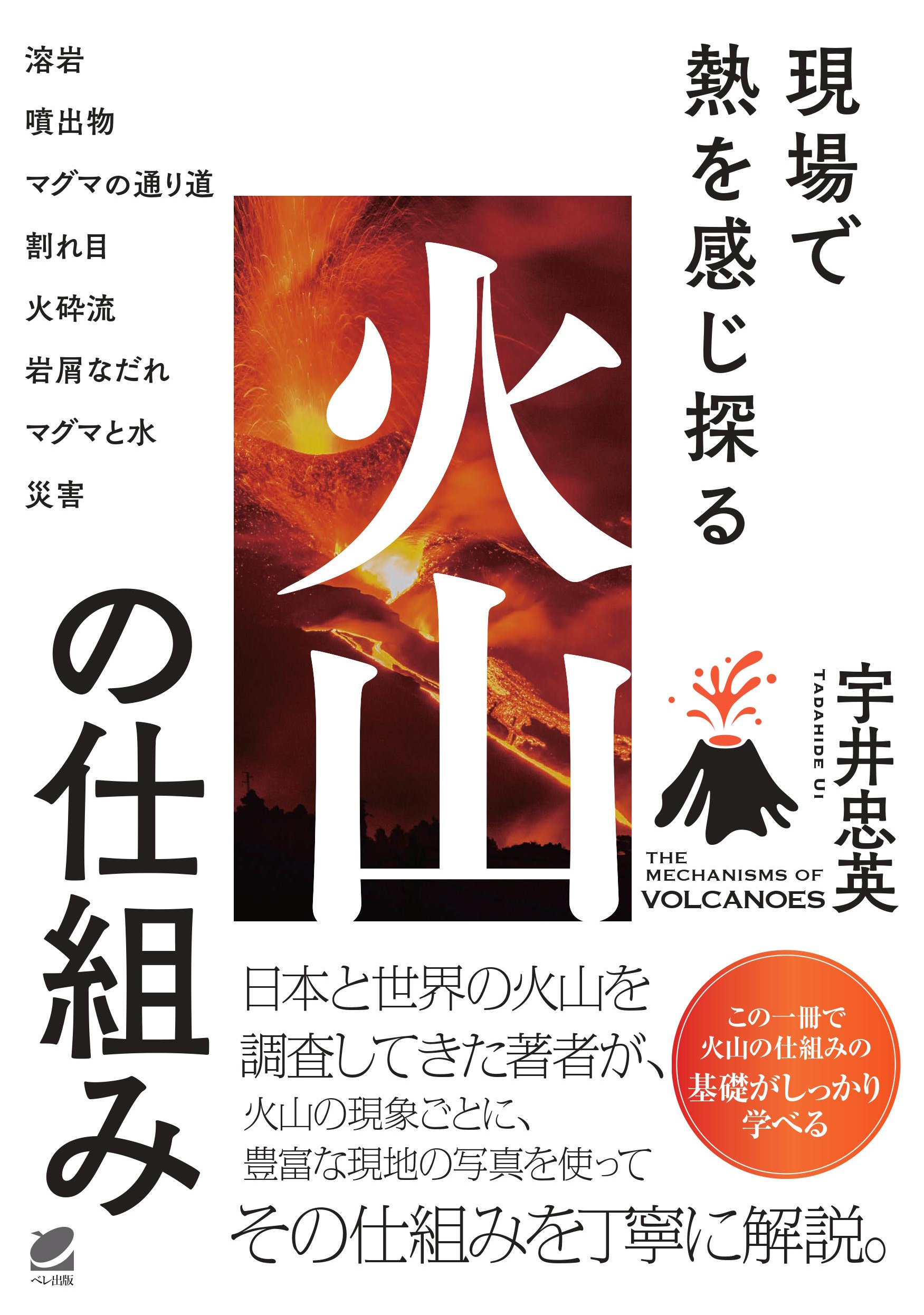 小6理科 最高レベル特訓問題集 全4巻　風林火山　2025年最新版 小6理科 最高レベル特訓問題集 全4巻 風林火山 2025年