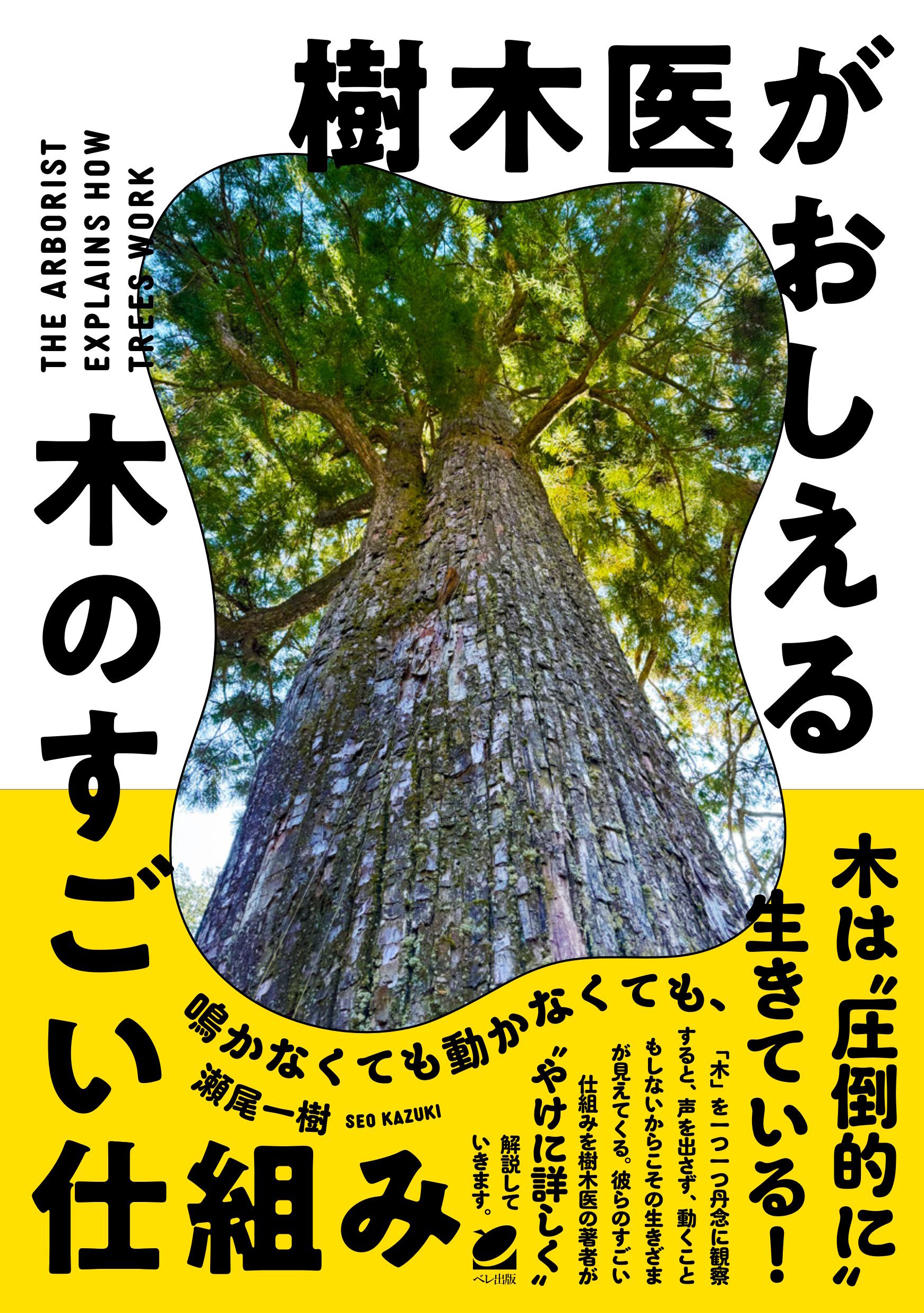 樹木ストラクチャー 新緑を感じる緑樹大木 B 1本 くまもと緑・景観協