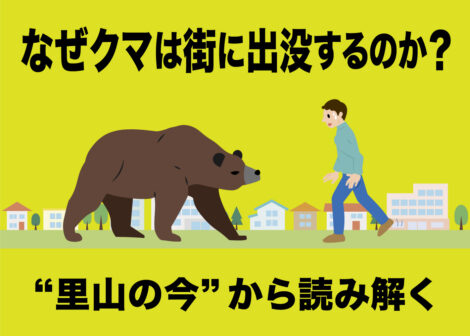 【緊急寄稿】なぜクマは街に出没するのか？　“里山の今”から読み解く