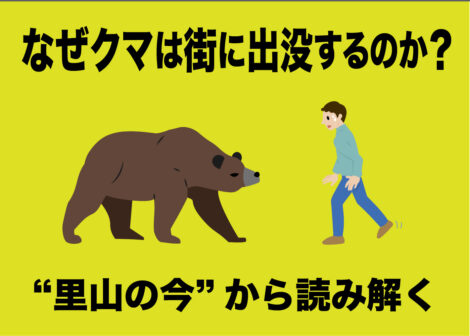 【緊急寄稿】なぜクマは街に出没するのか？　“里山の今”から読み解く